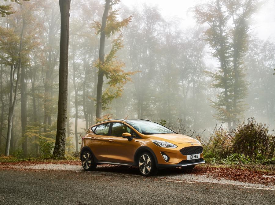  Ford Fiesta Active 2017 года  (WW) (фото 7 из 37)